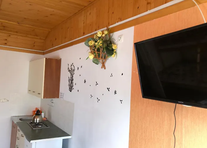 Letniskowe Apartment